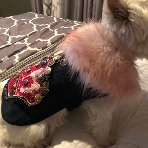 Dog in the Closet Denim Coat & Harness